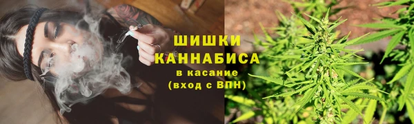 ПСИЛОЦИБИНОВЫЕ ГРИБЫ Верхнеуральск
