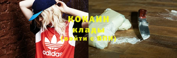 прущие грибы Верхний Тагил