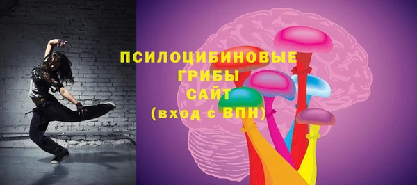 ПСИЛОЦИБИНОВЫЕ ГРИБЫ Верхнеуральск