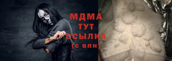 прущие грибы Верхний Тагил