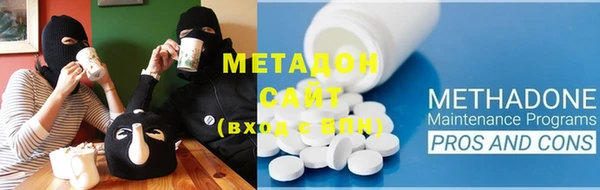 прущие грибы Верхний Тагил
