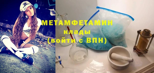 прущие грибы Верхний Тагил